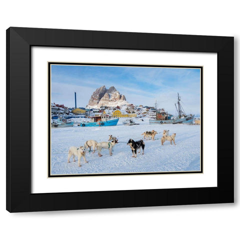 Team of sled dog during winter in Uummannaq in Greenland Black Modern Wood Framed Art Print with Double Matting by Zwick, Martin