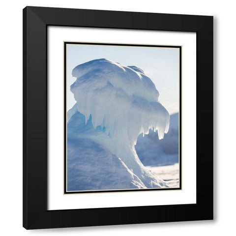 Iceberg frozen into the sea ice of the Uummannaq fjord system during winter-Greenland-Danish Territ Black Modern Wood Framed Art Print with Double Matting by Zwick, Martin