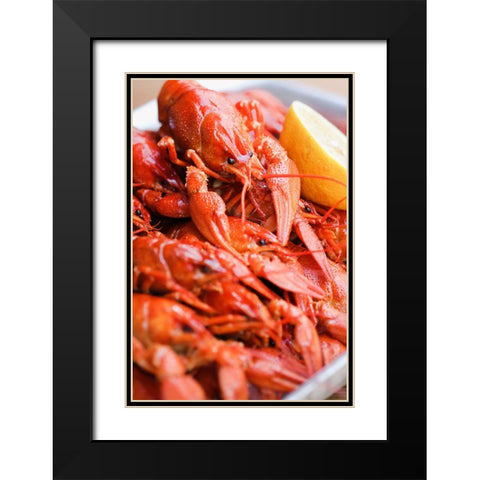 Crayfish close-up Black Modern Wood Framed Art Print with Double Matting by Majority World CIC