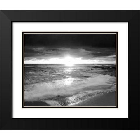 California, San Diego Sunset Cliffs beach Black Modern Wood Framed Art Print with Double Matting by Talbot Frank, Christopher