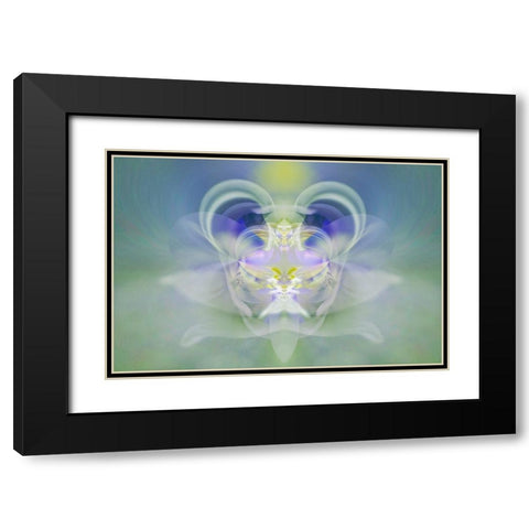 Star of Bethlehem Black Modern Wood Framed Art Print with Double Matting by Jones, Adam