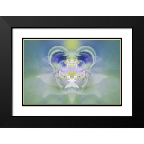 Star of Bethlehem Black Modern Wood Framed Art Print with Double Matting by Jones, Adam