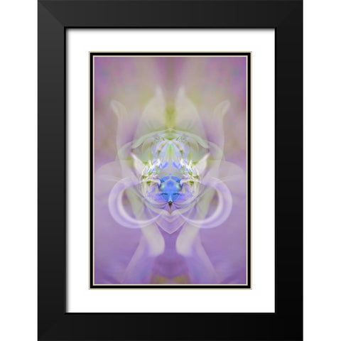 Star of Bethlehem and Iris in background Black Modern Wood Framed Art Print with Double Matting by Jones, Adam