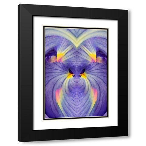 Abstract Iris flowers Black Modern Wood Framed Art Print with Double Matting by Jones, Adam