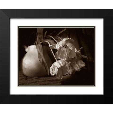 Sepia tone Tulips Black Modern Wood Framed Art Print with Double Matting by Miller, Anna
