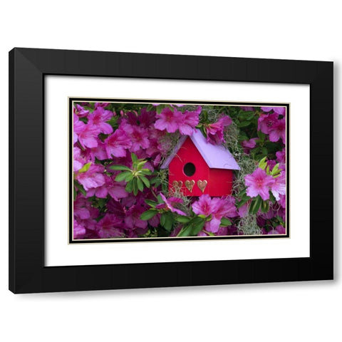 Birdhouse and Azaleas in Garden Black Modern Wood Framed Art Print with Double Matting by Rotenberg, Nancy