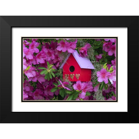 Birdhouse and Azaleas in Garden Black Modern Wood Framed Art Print with Double Matting by Rotenberg, Nancy