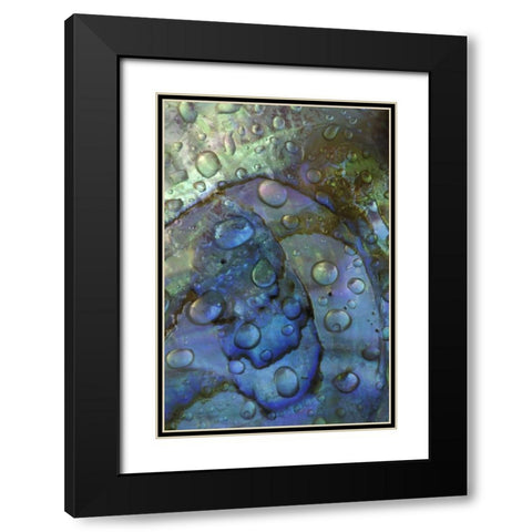 Abalone shell with water drops Black Modern Wood Framed Art Print with Double Matting by Rotenberg, Nancy