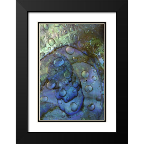 Abalone shell with water drops Black Modern Wood Framed Art Print with Double Matting by Rotenberg, Nancy