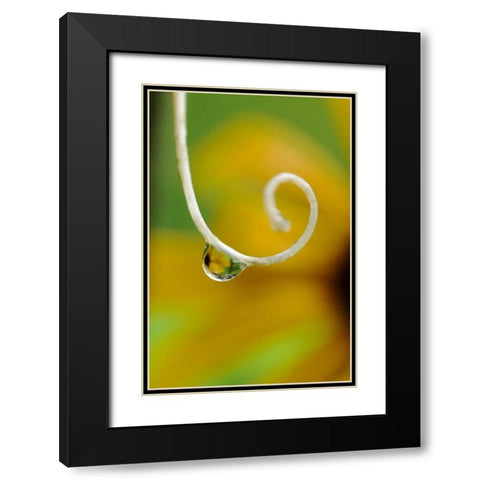 Rain drop with flower reflected Black Modern Wood Framed Art Print with Double Matting by Rotenberg, Nancy