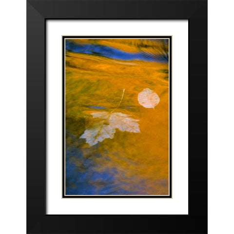 Fall reflections in water Black Modern Wood Framed Art Print with Double Matting by Rotenberg, Nancy