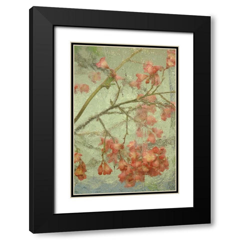 Pentstemon flower behind glass Black Modern Wood Framed Art Print with Double Matting by Rotenberg, Nancy