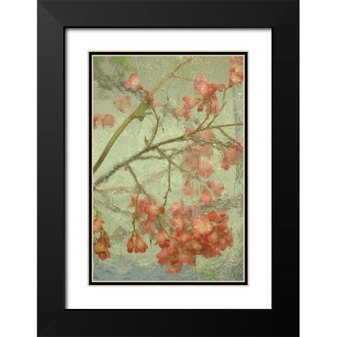 Pentstemon flower behind glass Black Modern Wood Framed Art Print with Double Matting by Rotenberg, Nancy