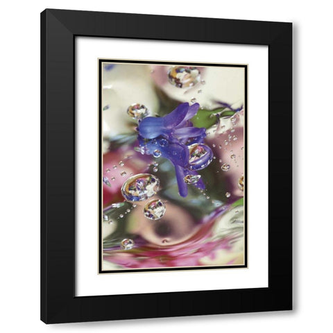 Hyacinth Bud on Mylar With Reflections Black Modern Wood Framed Art Print with Double Matting by Rotenberg, Nancy