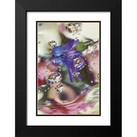Hyacinth Bud on Mylar With Reflections Black Modern Wood Framed Art Print with Double Matting by Rotenberg, Nancy