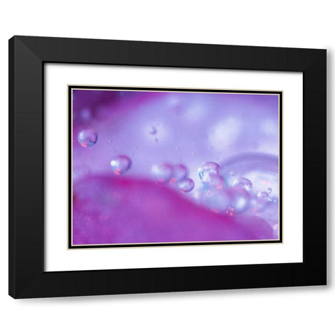 Dew drops on flower petal abstract Black Modern Wood Framed Art Print with Double Matting by Rotenberg, Nancy