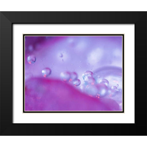 Dew drops on flower petal abstract Black Modern Wood Framed Art Print with Double Matting by Rotenberg, Nancy