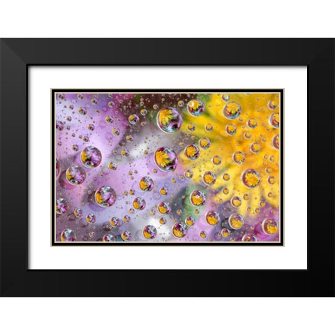 Bubbles abstract with flowers Black Modern Wood Framed Art Print with Double Matting by Rotenberg, Nancy