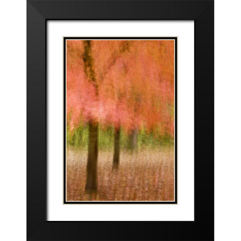 Impressionistic view of trees in autumn colors Black Modern Wood Framed Art Print with Double Matting by OBrien, Jay