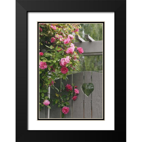 Garden gate with roses growing over it Black Modern Wood Framed Art Print with Double Matting by Paulson, Don