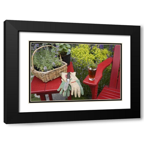 Ice tea rests on red chair while gardening Black Modern Wood Framed Art Print with Double Matting by Paulson, Don