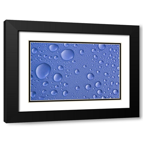 Close-up of frozen water drops Black Modern Wood Framed Art Print with Double Matting by Paulson, Don