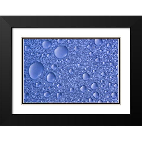 Close-up of frozen water drops Black Modern Wood Framed Art Print with Double Matting by Paulson, Don
