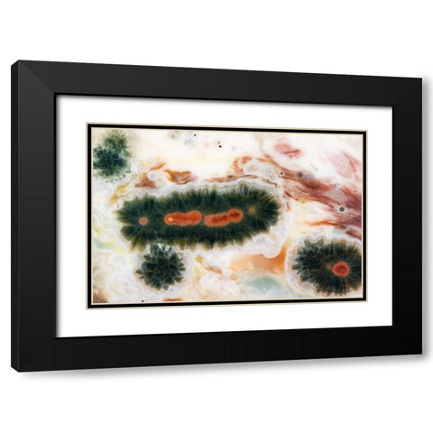 Ocean jasper stone found in Madagascar Black Modern Wood Framed Art Print with Double Matting by Kirkland, Dennis