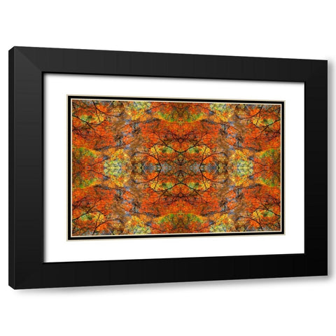 Autumn tree abstract Black Modern Wood Framed Art Print with Double Matting by Jaynes Gallery