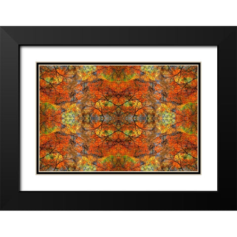 Autumn tree abstract Black Modern Wood Framed Art Print with Double Matting by Jaynes Gallery