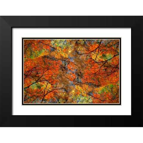 Autumn tree abstract Black Modern Wood Framed Art Print with Double Matting by Jaynes Gallery
