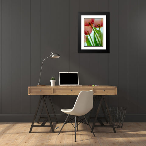 Tulips in ice Black Modern Wood Framed Art Print with Double Matting by Jaynes Gallery
