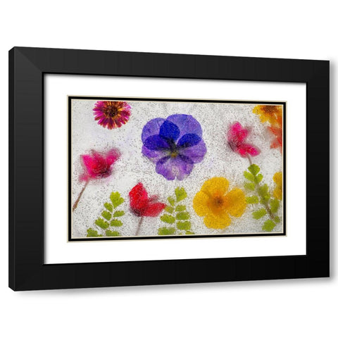 Mixed flowers in ice Black Modern Wood Framed Art Print with Double Matting by Jaynes Gallery