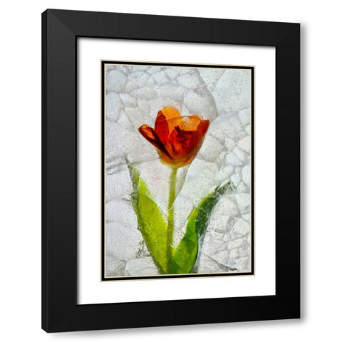 Tulip in ice Black Modern Wood Framed Art Print with Double Matting by Jaynes Gallery