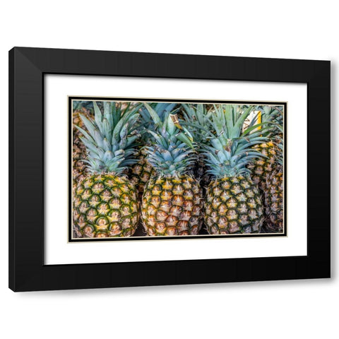 Sugarloaf pineapple Black Modern Wood Framed Art Print with Double Matting by Engelbrecht, Jim