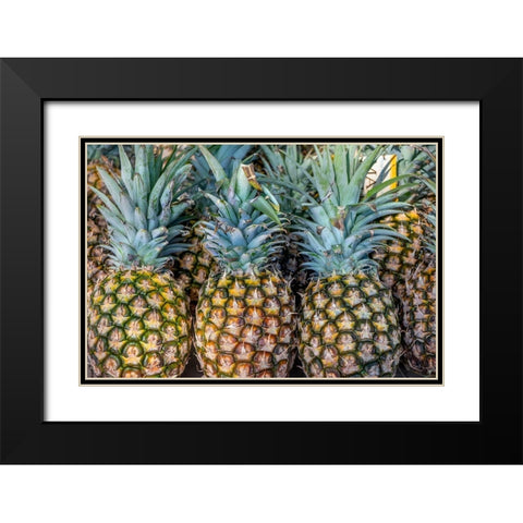 Sugarloaf pineapple Black Modern Wood Framed Art Print with Double Matting by Engelbrecht, Jim