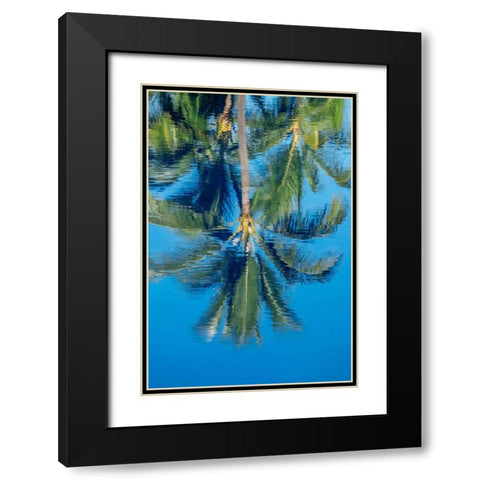 Reflection of palm trees on water Black Modern Wood Framed Art Print with Double Matting by Engelbrecht, Jim