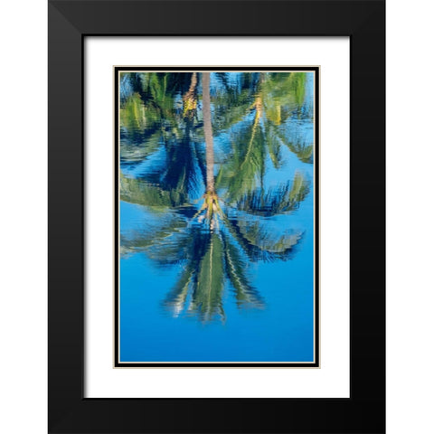 Reflection of palm trees on water Black Modern Wood Framed Art Print with Double Matting by Engelbrecht, Jim
