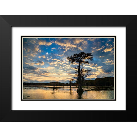 Bald cypress silhouetted at sunrise- Caddo Lake- Texas Black Modern Wood Framed Art Print with Double Matting by Ditto, Larry