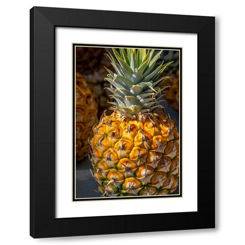 Sugarloaf pineapple Black Modern Wood Framed Art Print with Double Matting by Engelbrecht, Lisa S.