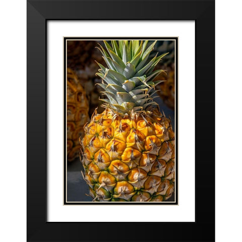 Sugarloaf pineapple Black Modern Wood Framed Art Print with Double Matting by Engelbrecht, Lisa S.