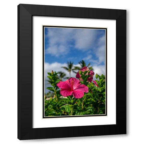 Hibiscus Black Modern Wood Framed Art Print with Double Matting by Engelbrecht, Lisa S.