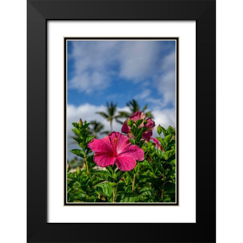 Hibiscus Black Modern Wood Framed Art Print with Double Matting by Engelbrecht, Lisa S.