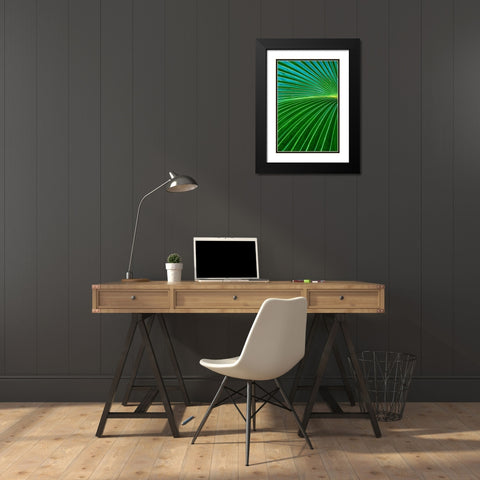 Palm frond Black Modern Wood Framed Art Print with Double Matting by Engelbrecht, Lisa S.