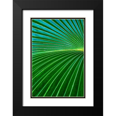 Palm frond Black Modern Wood Framed Art Print with Double Matting by Engelbrecht, Lisa S.