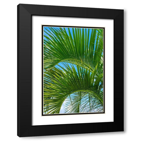 Palm fronds Black Modern Wood Framed Art Print with Double Matting by Engelbrecht, Lisa S.