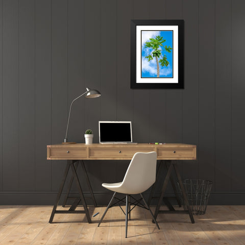 Papaya tree Black Modern Wood Framed Art Print with Double Matting by Engelbrecht, Lisa S.