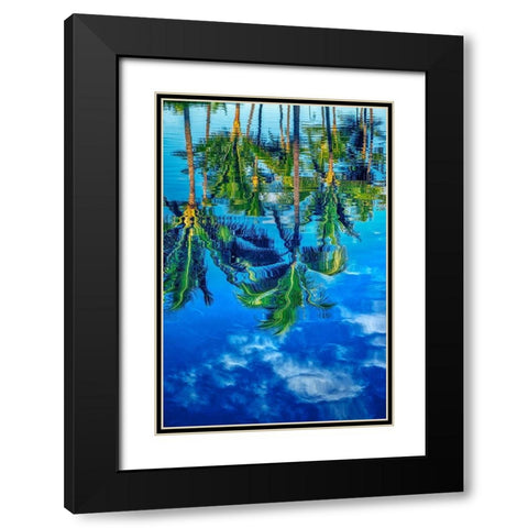 Reflection of palm trees on water Black Modern Wood Framed Art Print with Double Matting by Engelbrecht, Lisa S.