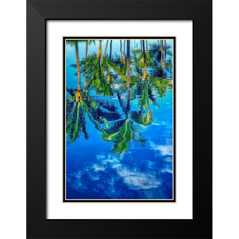 Reflection of palm trees on water Black Modern Wood Framed Art Print with Double Matting by Engelbrecht, Lisa S.