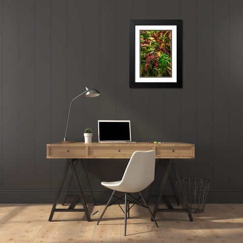 Ti Plant berries Black Modern Wood Framed Art Print with Double Matting by Engelbrecht, Lisa S.